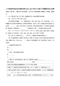 广东省深圳市盐田外国语学校2023-2024学年八年级下学期期末语文试卷