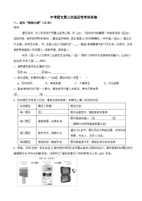 廣東省深圳市2025年中考語(yǔ)文第二次適應(yīng)性考試試卷附參考答案