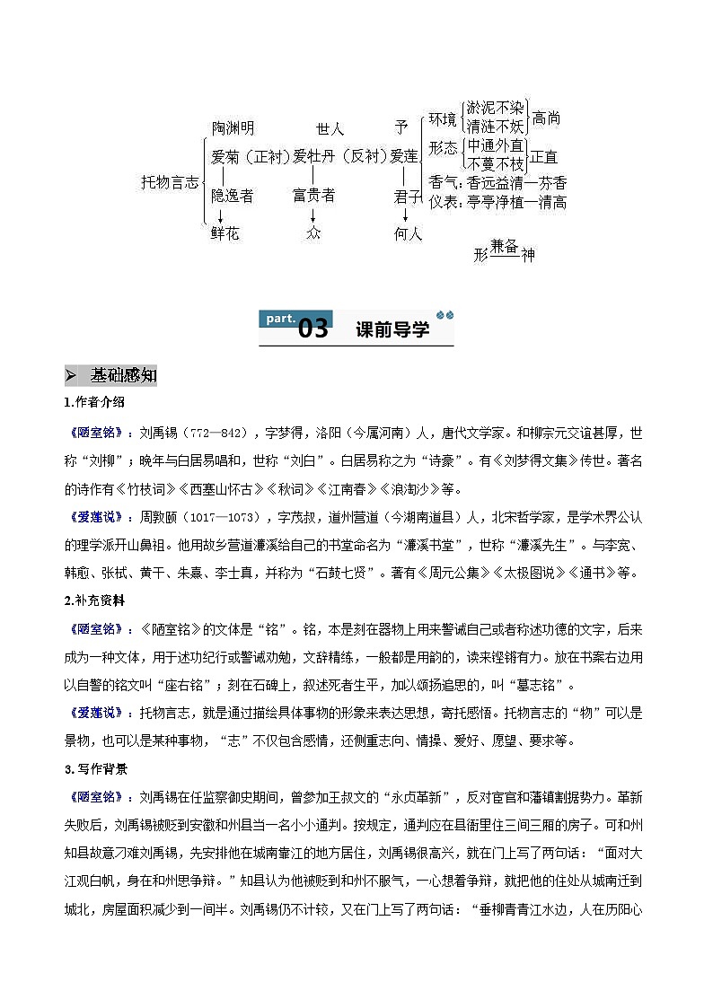 17 短文两篇 - 知识点梳理+练习(含答案解析)第2页