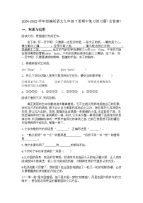 2024-2025学年部编版语文九年级下册期中复习练习题（含答案）