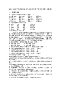 2024-2025学年统编版语文九年级下册期中复习训练题（含答案）