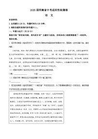 2025年河南省漯河市中考一模语文试题（原卷版+解析版）