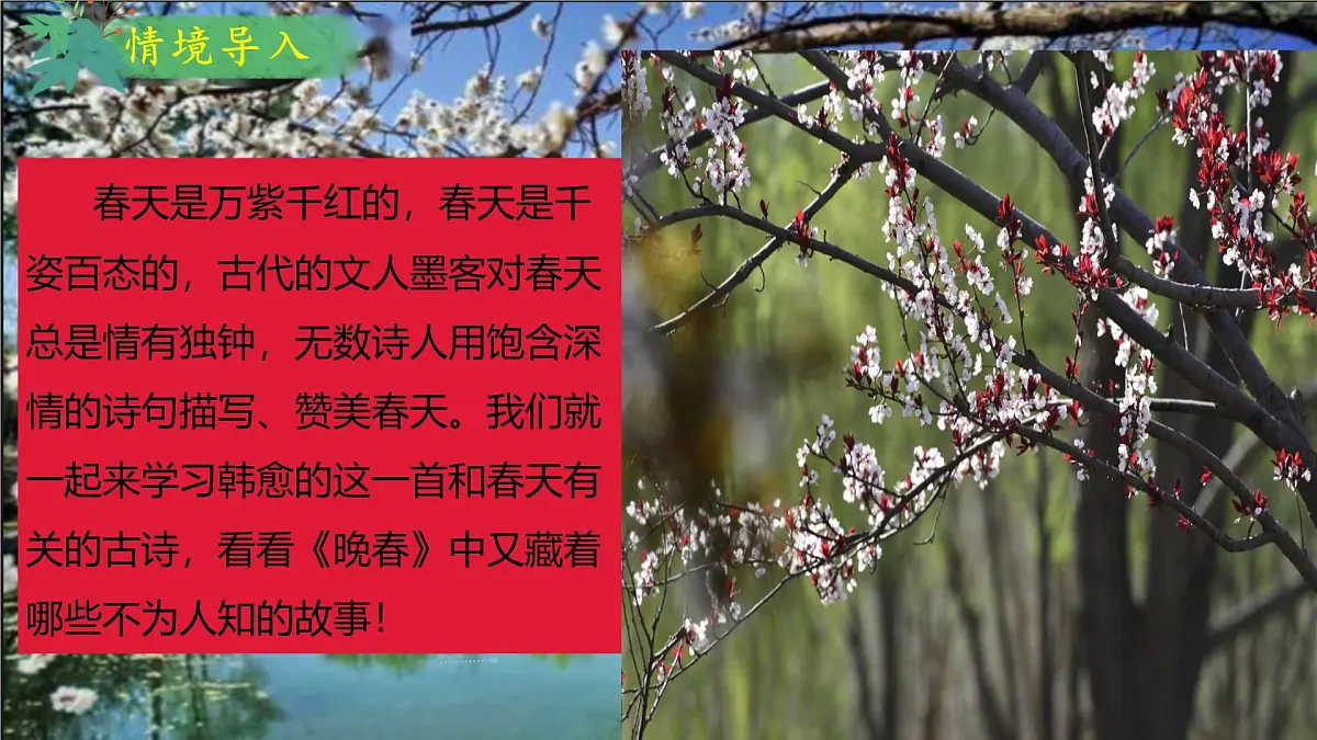 部编版初中语文七年级下册第二学期第三单元:《晚春》课件第5页