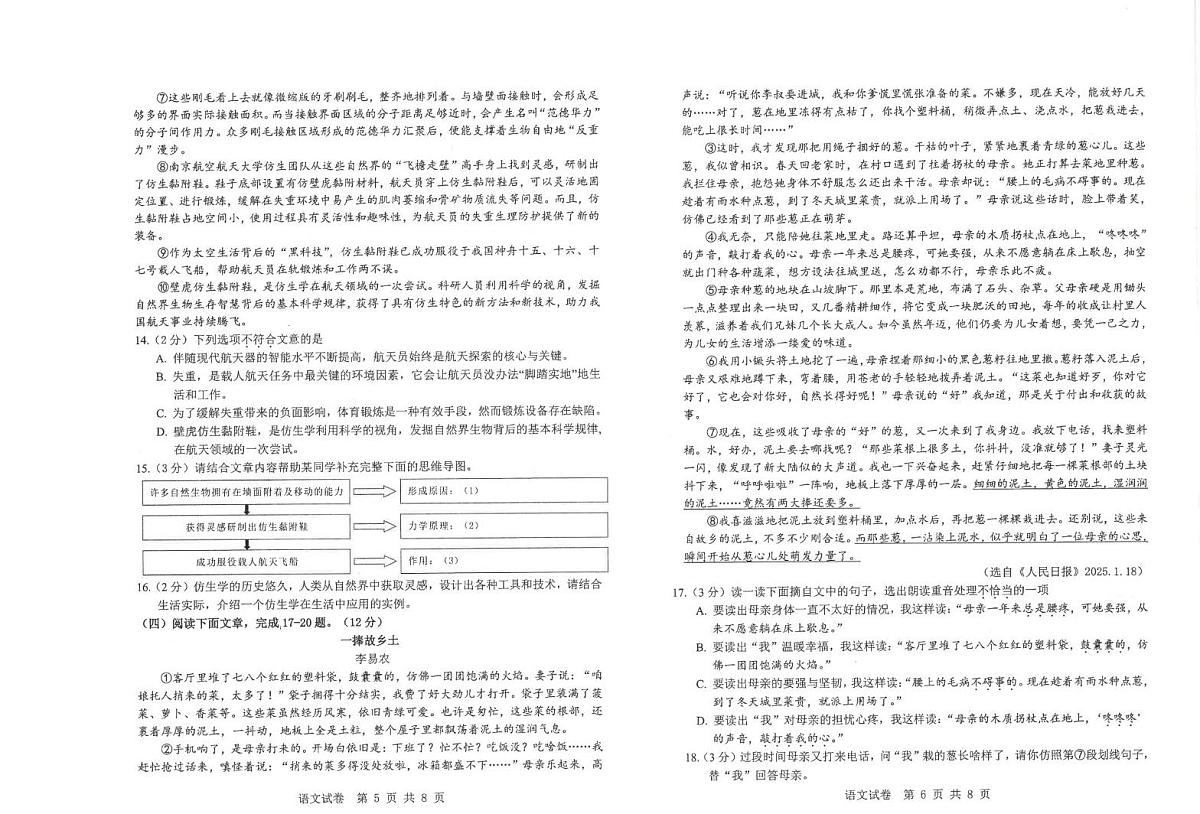 2025年湖北省恩施市中考第一次适应性考试语文试题第3页