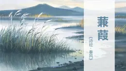 《詩經(jīng)二首-蒹葭》課件 部編版語文八年級下冊