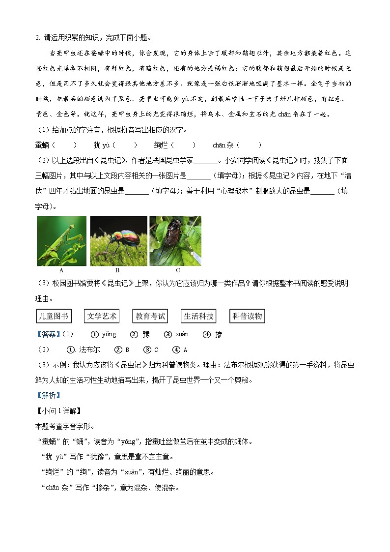 安徽省界首市2024-2025学年八年级上学期期末语文试题(解析版)第2页