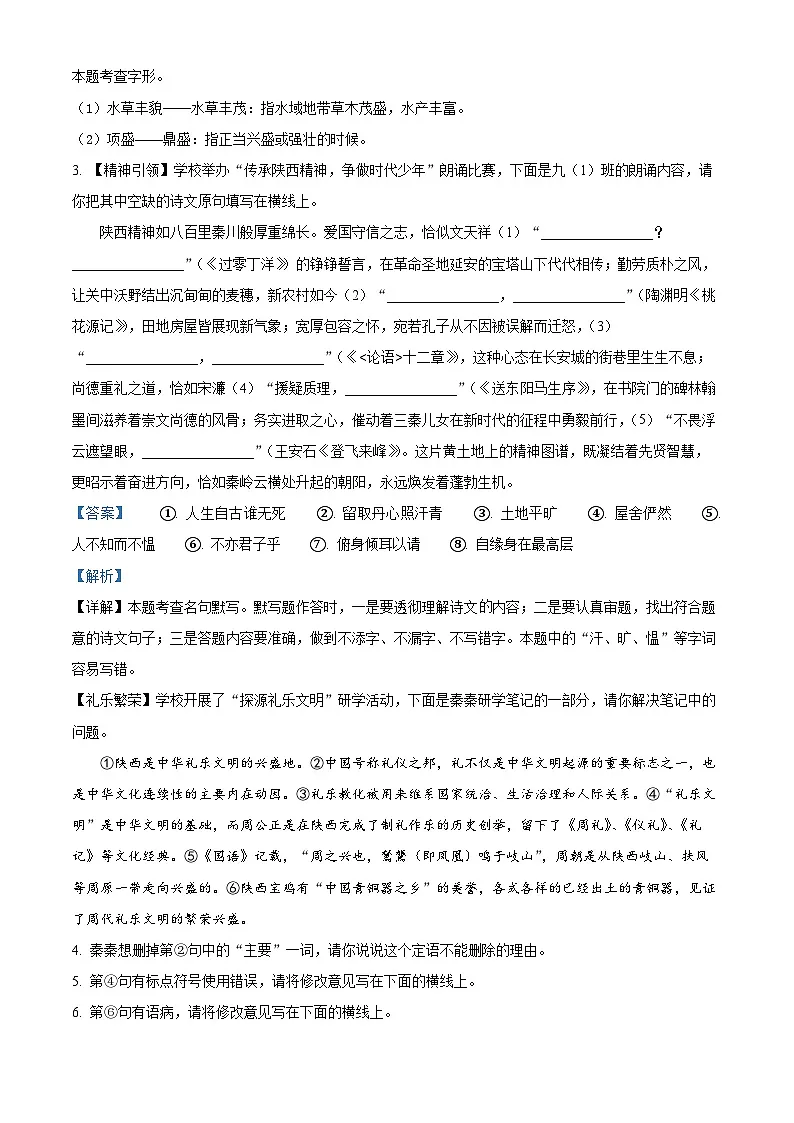 2025年陕西省西安市西咸新区中考一模语文试题(解析版)第2页