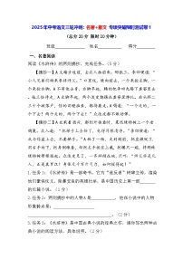 2025年中考语文三轮冲刺:名著+散文 专项突破限时测试卷1(含答案)