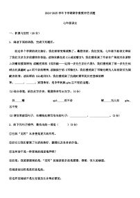 河南省许昌地区2024-2025学年七年级下学期期中素质评估语文试卷（含答案）