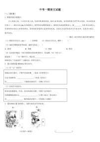 2025年江苏省南京市联合体中考一模语文试题附答案