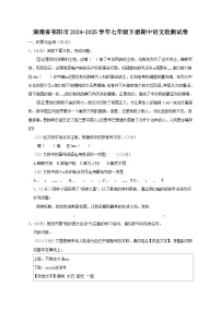 湖南省祁阳市2024-2025学年七年级下册期中语文检测试卷（附答案）