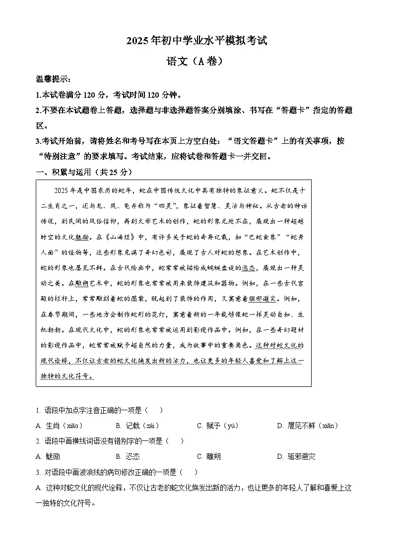 2025年山东省枣庄市山亭区中考二模语文试题 (解析版)第1页