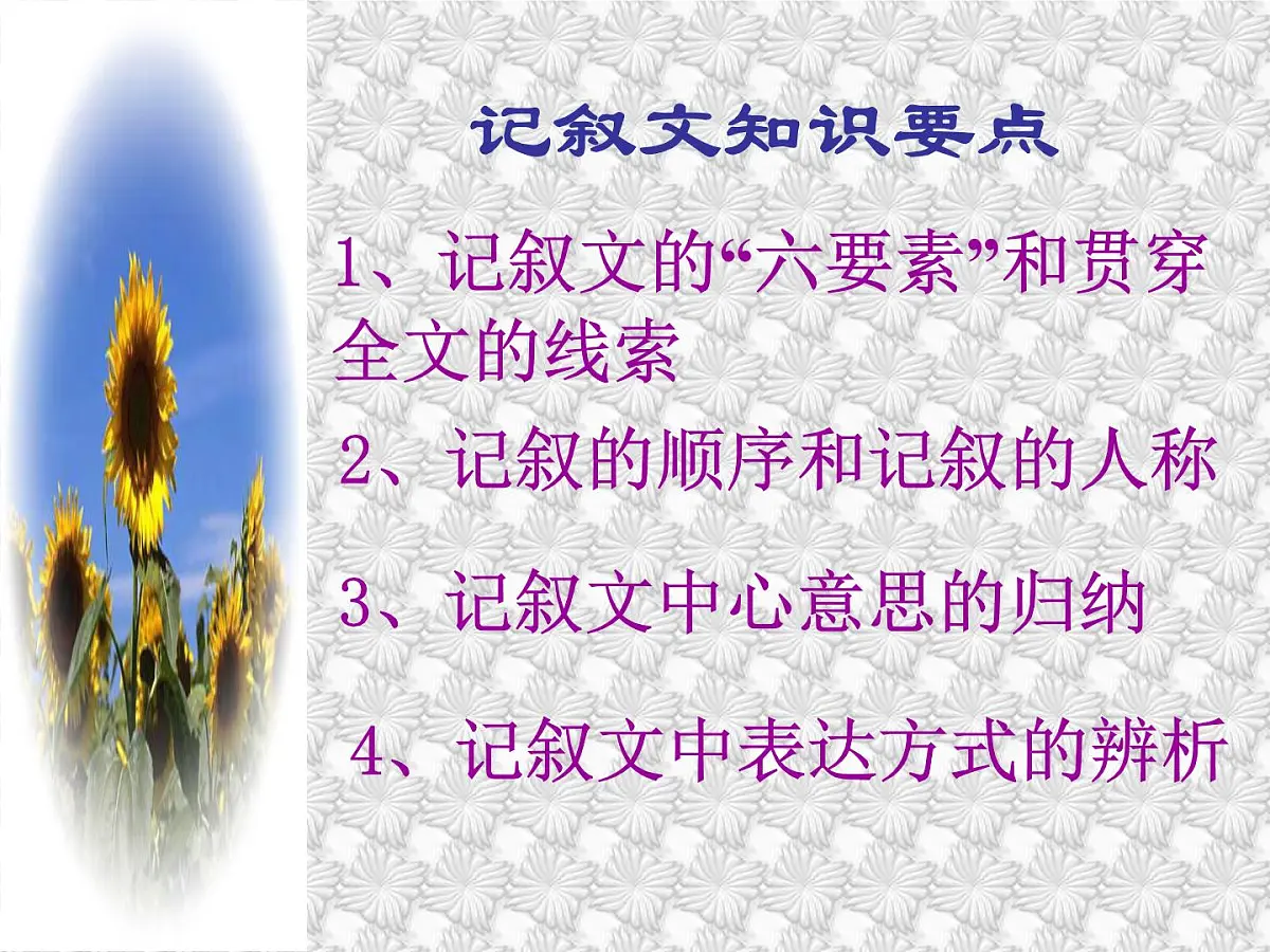中考语文二轮专题复习课件:记叙文阅读第3页