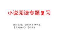 中考语文二轮专题复习课件：小说阅读