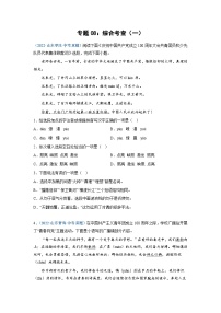 中考语文必刷真题精选 专题08：综合考查（一）（学生版）