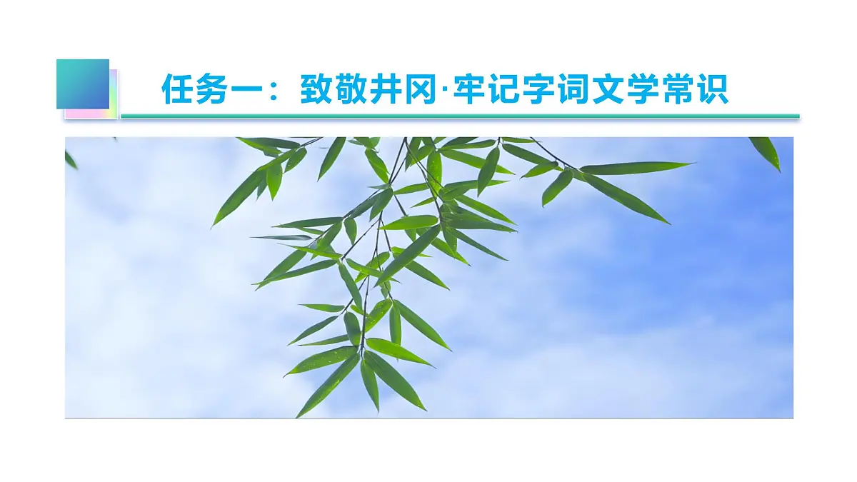 七年级下册 第18课《井冈翠竹》教学课件2024-2025学年七下语文同步课堂 2024统编版第6页