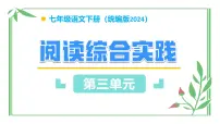 初中语文人教部编版（2024）七年级下册（2024）阅读综合实践教学课件ppt