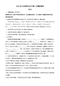 2025年河南省河南师范大学附属中学中考二模语文试题（原卷版+解析版）（中考模拟）