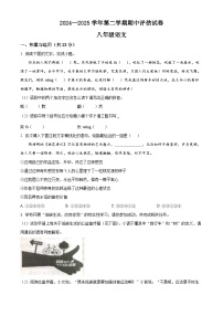 河南省平顶山市宝丰县2024-2025学年八年级下学期期中语文试题（原卷版+解析版）