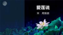 语文爱莲说备课课件ppt