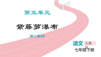 语文紫藤萝瀑布课前预习课件ppt