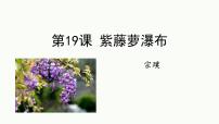 初中语文人教部编版（2024）七年级下册（2024）紫藤萝瀑布教学课件ppt