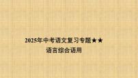 2025年中考语文复习专题语言综合语用 课件