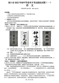 2025年海南省海口市中考一模语文试题（中考模拟）