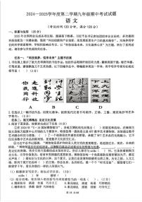 海南省海口市十三校2024-2025学年九年级下学期期中联考语文试题
