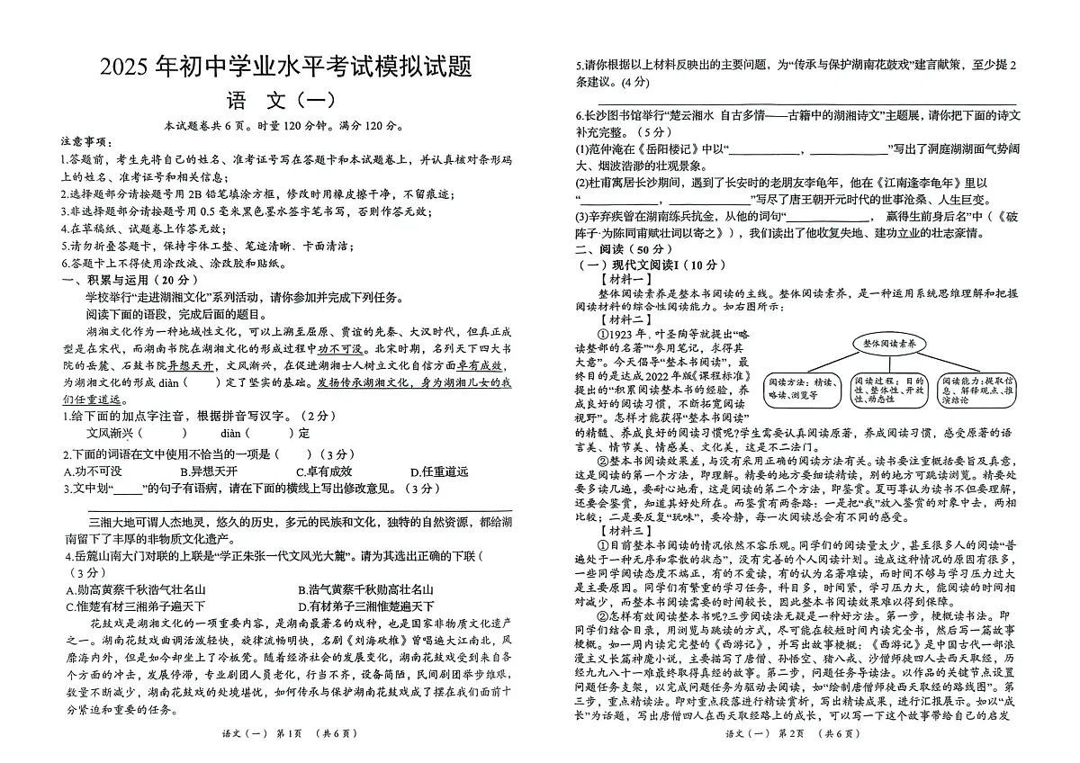 2025年湖南省岳阳市岳阳县中考一模语文试题第1页