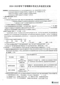 安徽省潜山市部分学校2025年4月期中考试九年级语文试卷（PDF版，含答案）