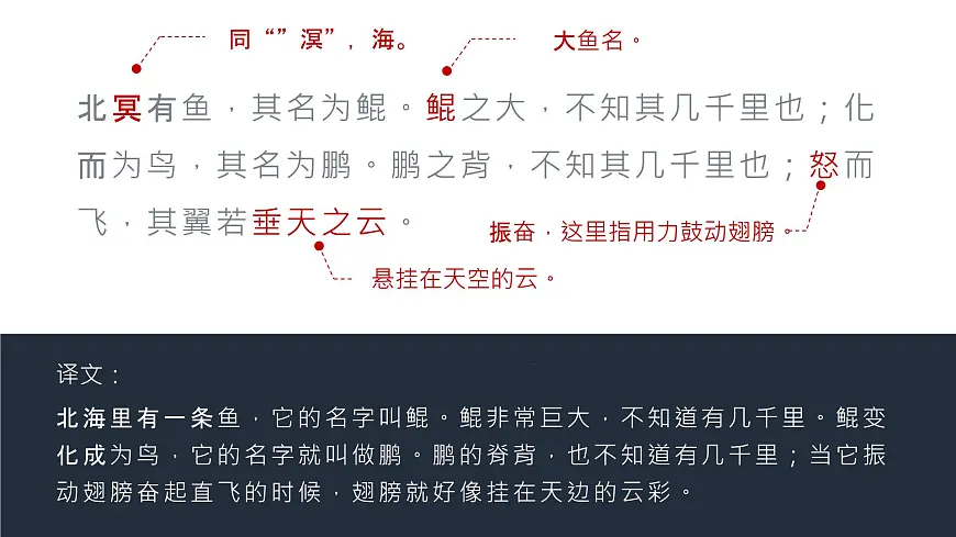 部编版2024八年级语文下册 北冥有鱼 课件第8页