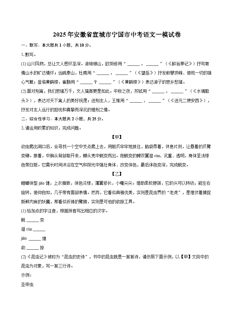 2025年安徽省宣城市宁国市中考语文一模试卷(含详细答案解析)第1页