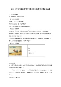 2025年广东省湛江市雷州市雷州市三校中考二模语文试题（含答案）