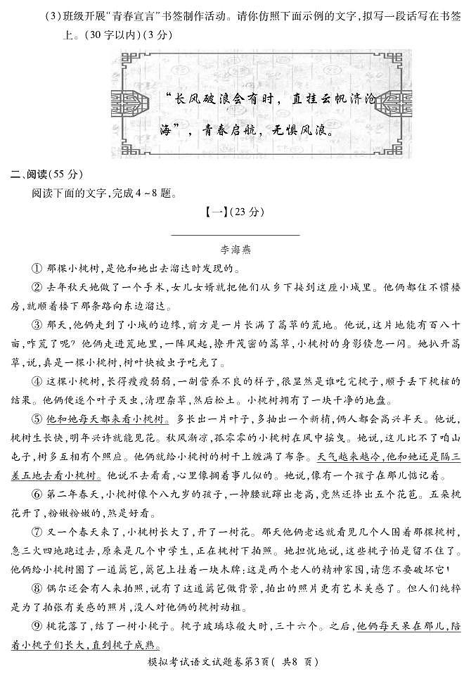 2025年安徽省蚌埠市市区重点学校联考中考二模语文试卷(PDF版,含答案)第3页