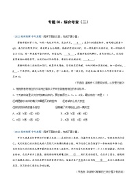 中考语文专题08：综合考查（二）（练习版）
