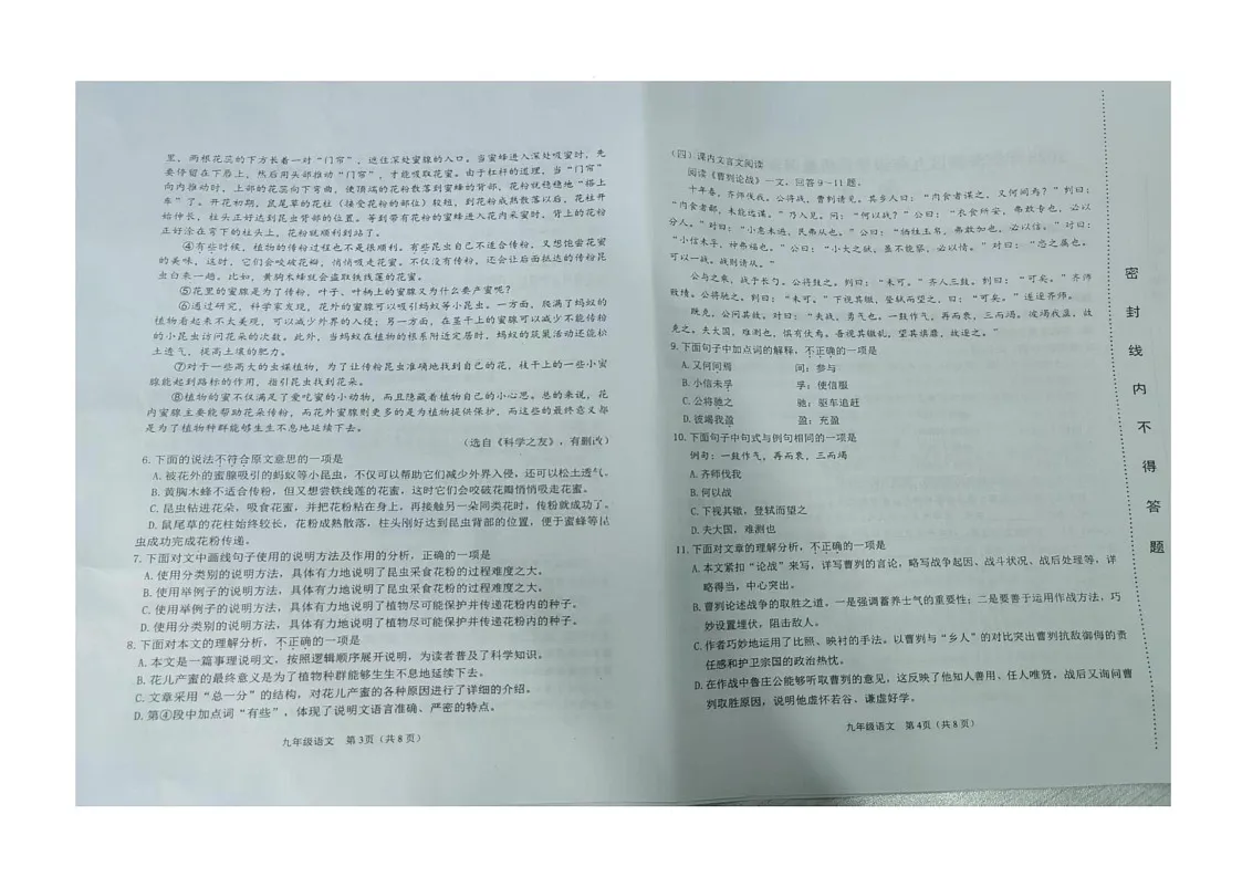 2025年天津市滨海新区九年级二模语文试题(含答案) 2025年天津市滨海新区中考二模语文试题第2页