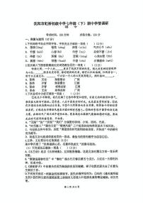 辽宁省沈阳市虹桥初级中学2024-2025学年七年级下学期期中考试语文试题（图片版，含答案）