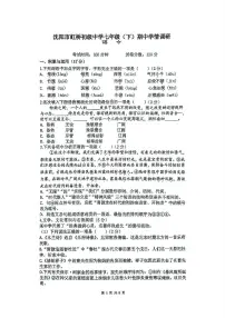 辽宁省沈阳市虹桥初级中学2024-2025学年七年级下学期期中考试语文试题（图片版，含答案）