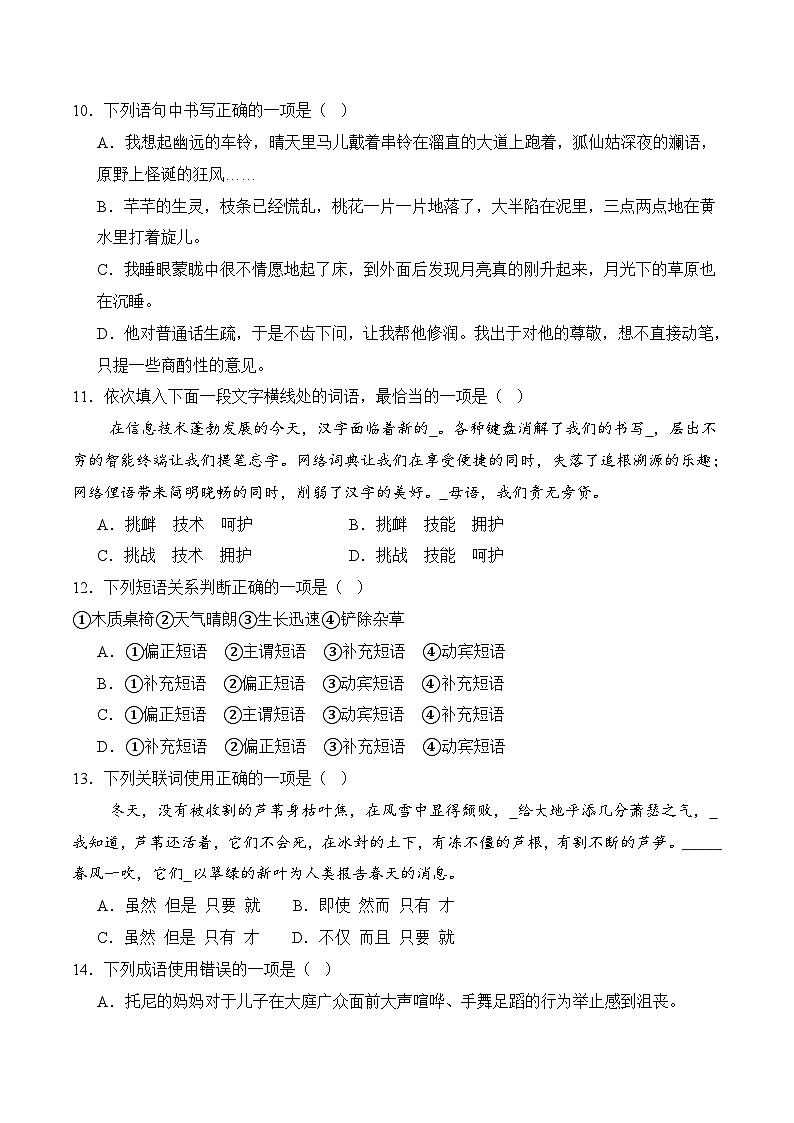 七年级语文下册期末考点专练 01基础知识积累(原卷)2024-2025学年七年级语文(统编版)第3页