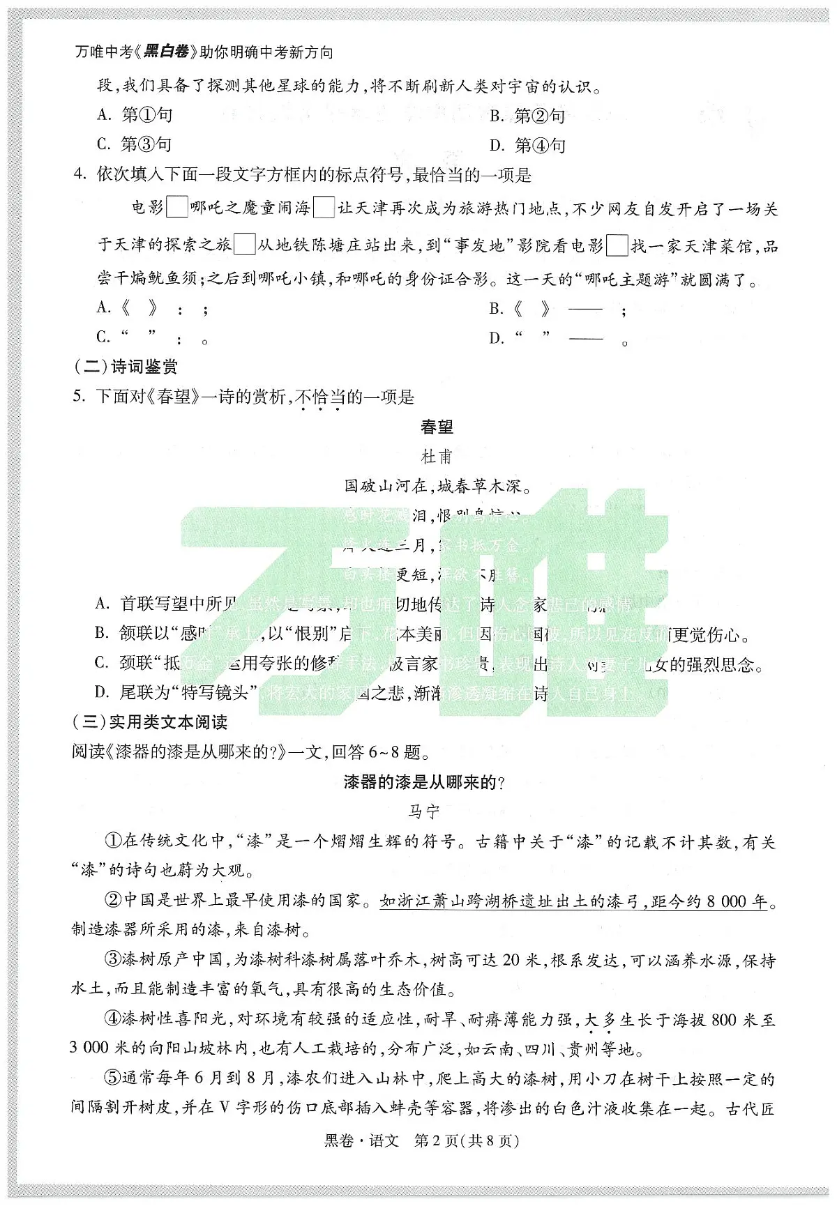 2025《万唯中考•天津黑白卷》语文黑卷第2页