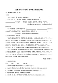安徽省六安市2025年中考二模语文试题
