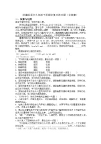 统编版语文九年级下册期中复习练习题（含答案）
