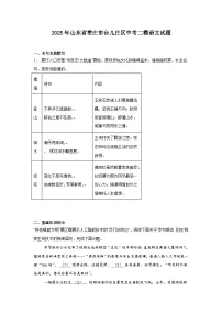 2025年山东省枣庄市台儿庄区中考二模语文试题（含答案）