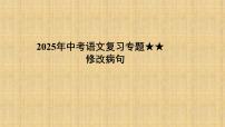 2025年中考语文复习专题 　修改病句 课件