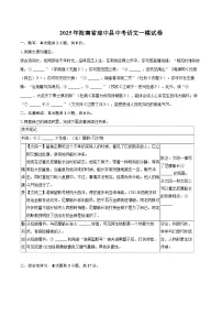 2025年海南省琼中县中考语文一模试卷(含详细答案解析)