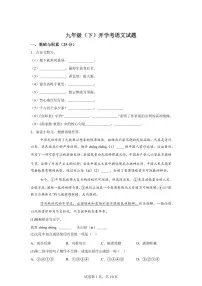 江苏省徐州市沛县2024━2025学年九年级下学期开学考试语文试题（含答案）