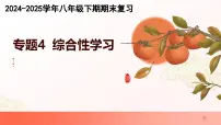 专题04：综合性学习（考点串讲）-2024-2025学年八年级语文下学期期末考点大串讲（统编版）课件