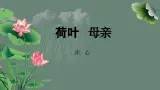 部编版2025-2026年第一学期 七年级 语文上册 第二单元  7 荷叶·母亲  课件