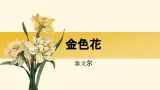 部编版2025-2026年第一学期 七年级 语文上册 第二单元  7 金色花  课件